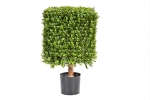 Kunstplant Buxus vierkant op frame 47x47x70cm